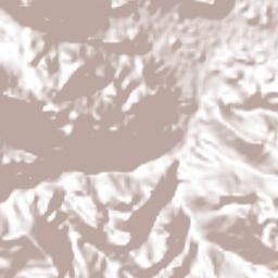 Nuevo Pacayal Terrain Map