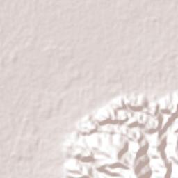 Guaimitas Terrain Map