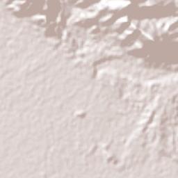 Nuevo Milenio Valdivia Terrain Map