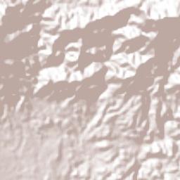 Pinalejo Terrain Map