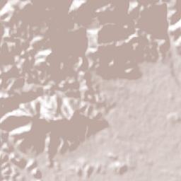 Naco Terrain Map