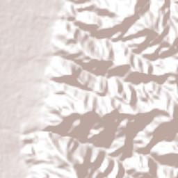 El Progreso Terrain Map