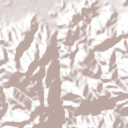 Tepusteca Terrain Map