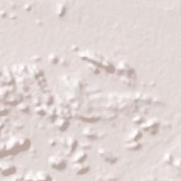 Gangawati Terrain Map