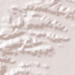 Betamcherla Terrain Map