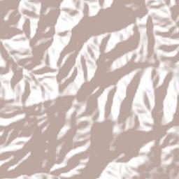 Santa Bárbara Terrain Map