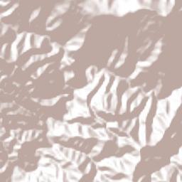 San José Terrain Map