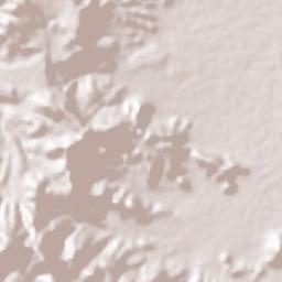 Sanaa Terrain Map