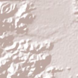 Nueva Frontera Terrain Map