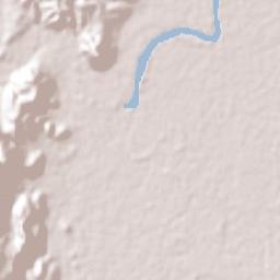 Pimienta Vieja Terrain Map
