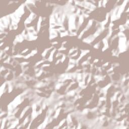 Punta Ocote Terrain Map