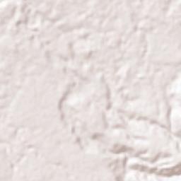 Muang Bachiangchaleunsook Terrain Map