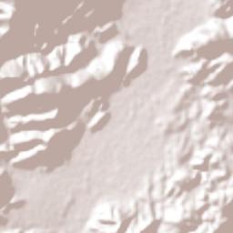 Florida Terrain Map