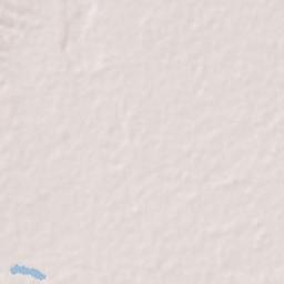 Del Carmen Terrain Map