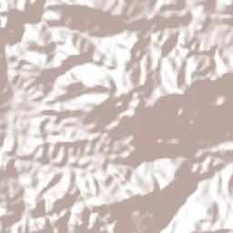Dolores Terrain Map