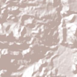 San Vicente Centenario Terrain Map