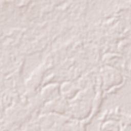 Auka Terrain Map
