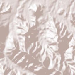 Bilad At Ta'am Terrain Map