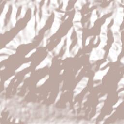 La Concepción Terrain Map