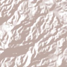 Las Flores Terrain Map