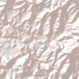 Concordia Terrain Map