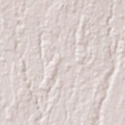 San Gabriel Terrain Map