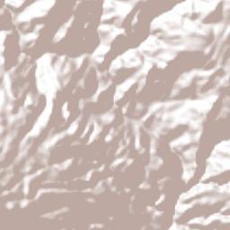 Zapotitlán Terrain Map