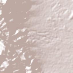 Villa de San Francisco Terrain Map