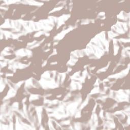 Concepción Terrain Map