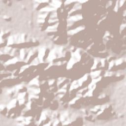 Danlí Terrain Map