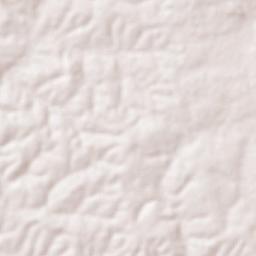 Shimoga Terrain Map