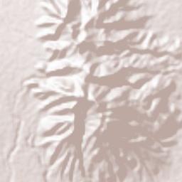 Bautista Terrain Map