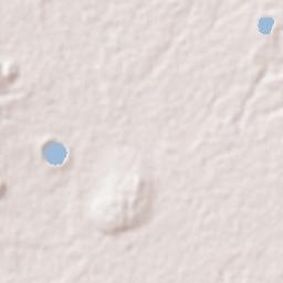 Lalig Terrain Map