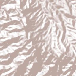 Tacuba Terrain Map