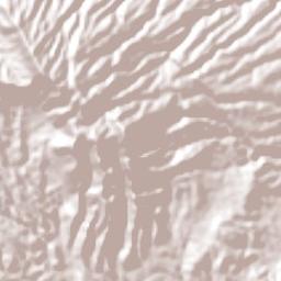 Ciudad Arce Terrain Map