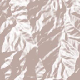 Mudhaykhirah Terrain Map