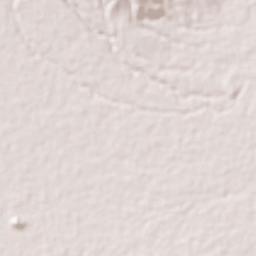San Carlos Terrain Map