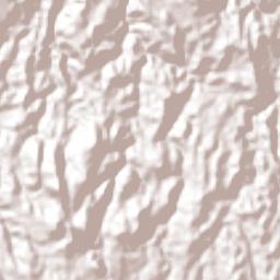Tenancingo Terrain Map