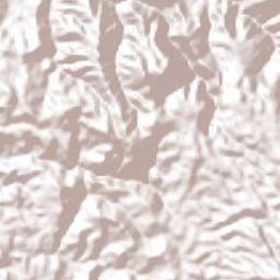 Ciudad Barrios Terrain Map