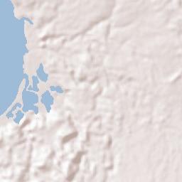 Tinambac Terrain Map