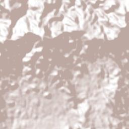 Sociedad Terrain Map