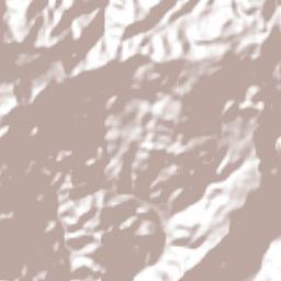 San Antonio de Flores Terrain Map