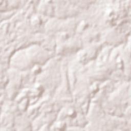 Srŏk Bâ Kêv Terrain Map