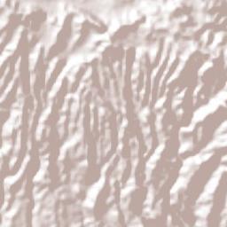 Nuevo Cuscatlán Terrain Map