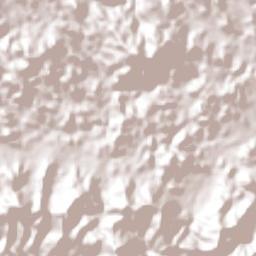 Santa Rosa de Lima Terrain Map