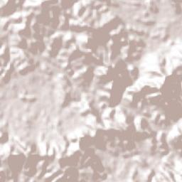 Goascorán Terrain Map