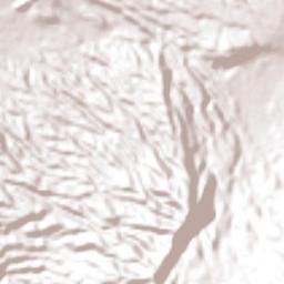 Berlín Terrain Map