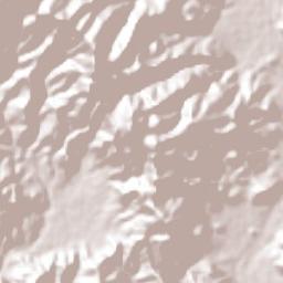 Orocuina Terrain Map