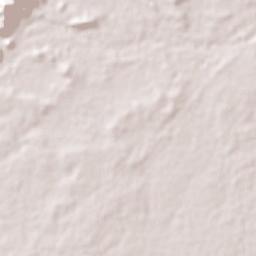 Choluteca Terrain Map