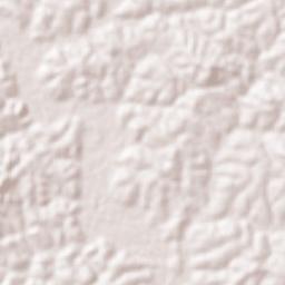 Sakleshpur Terrain Map